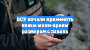 ВСУ начали применять новые мини-дроны размером с ладонь