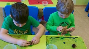 Наши старшие друзья🤗🐨Филиал Ворошилова.