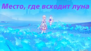 Танец вьюги в сизой чаще (1) Песня полой луны, глава 1. Нод Край. Genshin Impact