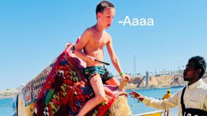 Оседлал верблюда