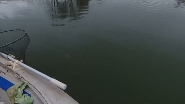 Ловлю щуку смотреть онлайн