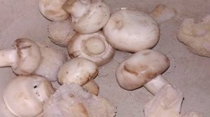 Курица, запеченная с овощами, по диете Дюкана