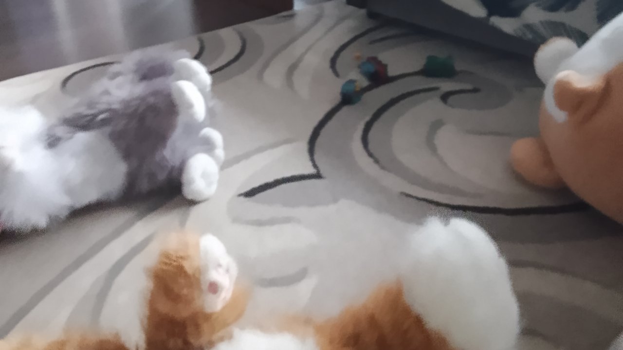 коты не на четыре лапы 1 серия история