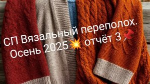 СП Вязальный переполох. Осень 2025💥 отчёт 3📌