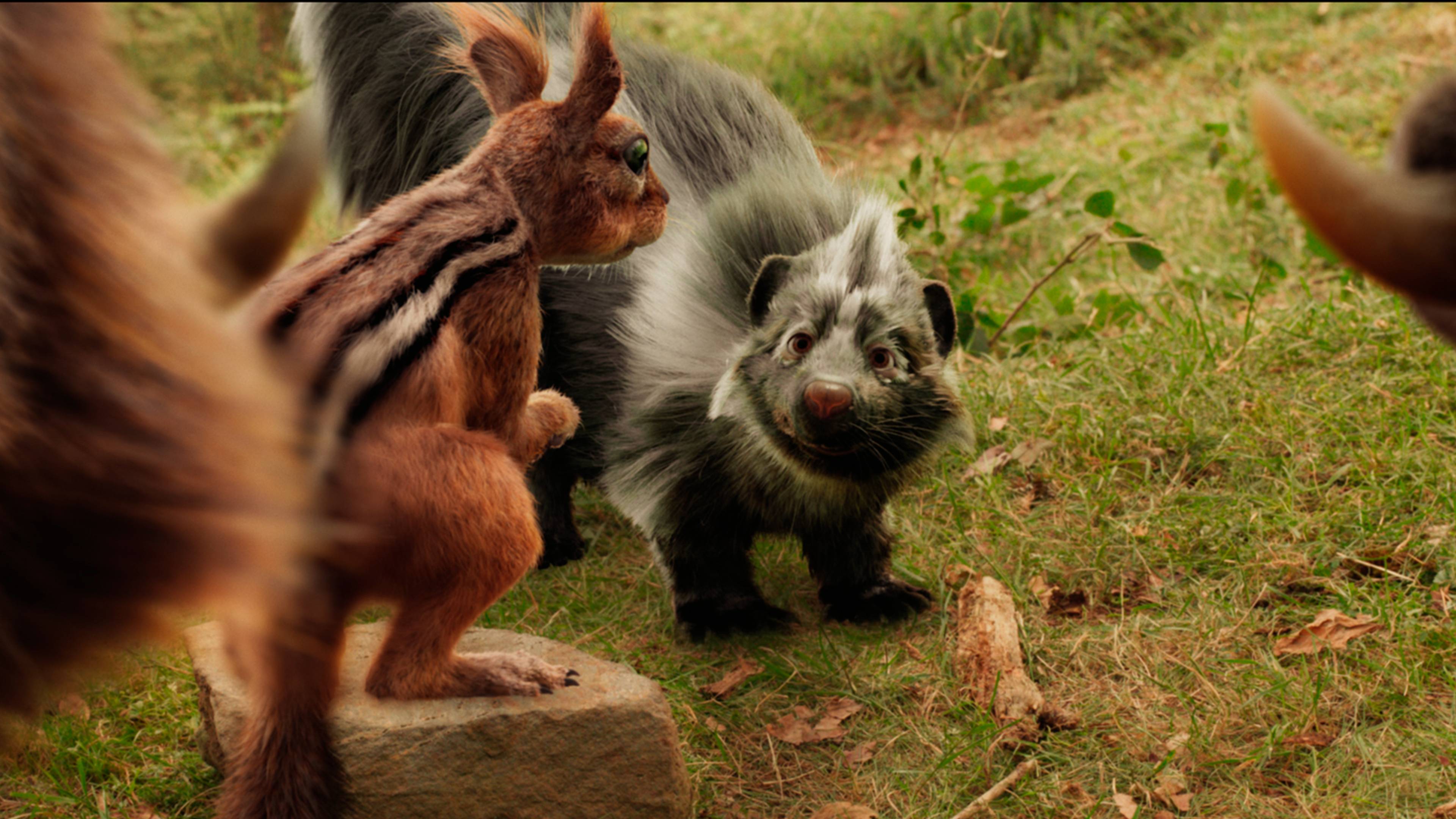 Пушистые каникулы| В кино с 6 ноября | Тизер смотреть онлайн