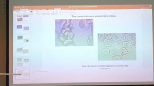 Вот почему вы устаете даже после отдыха!