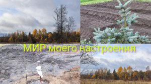 12.10.25 Дача Выборг.Посадили яблоню и чеснок.Осенние краски в саду
