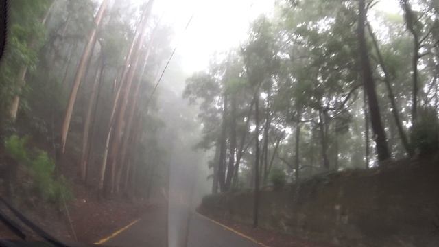 По дорогам Португалии  11 ноября 2019