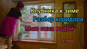 🏡 Жизнь в деревне 12-13 октября 2025