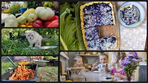 Космический пирог и урожай сентября 🌙🍂 | Спокойная осень в деревне