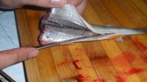 Окунь на сковороде