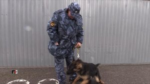 ПС 14.10.25
