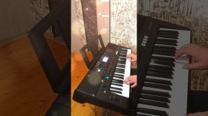 Roman Besov - When You Smile на синтезаторе ямаха