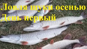 Ловля осенней щуки на джиг. Первый день.