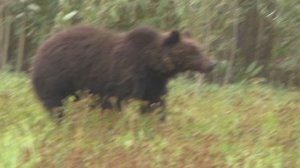 На Иртыш в октябре