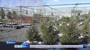 Компания «Зелёный дом» взяла шефство над кемеровским детским домом
