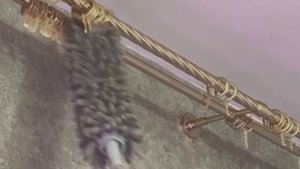Вот Любаша затейница и новый пипидастр.