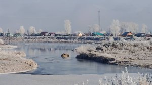 Вот это красота! Зимняя сказка! Укрываю ежевику.