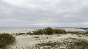 ИТКГ-524_Казьмина К.Ю._On the edge of the country