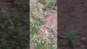 мы реально на заброшке 1 часть