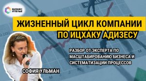 Жизненный цикл компании по Ицхаку Адизесу