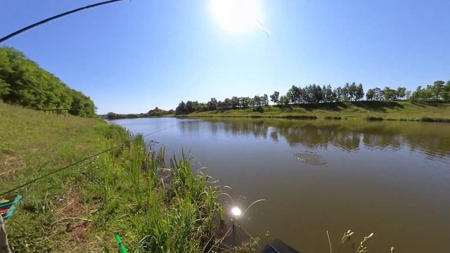 Ловля карася ,матчем ! смотреть онлайн