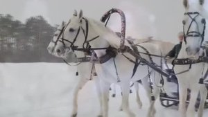 Любовь Костоглотова  "Мы на тройке" (музыка К.Дерр, стихи В.Батюк)