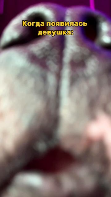 Когда появилась девушка. смотреть онлайн