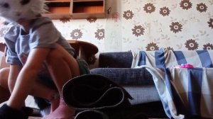 туториал как научиться прыгать и ходить как квадробер (первое видео)