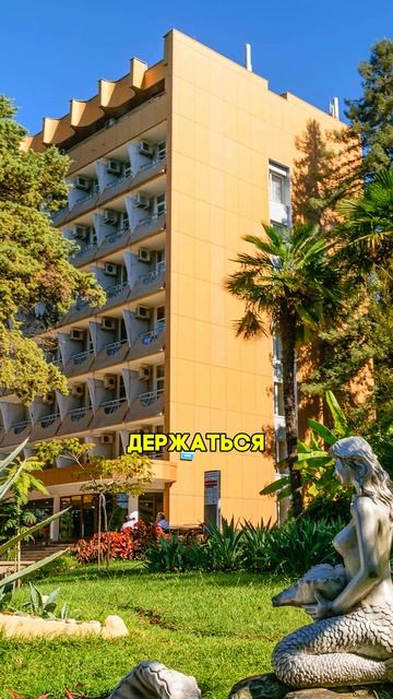 3 Самых ПЕРЕОЦЕНЕННЫХ места в Сочи  #shorts  #переездвсочи  #сочи смотреть онлайн