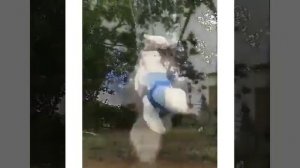 КЛАССНОЕ ВИДЕО СМОТРЕТЬ БЕСПЛАТНО ВИДЕО / ПРИКОЛЬНЫЕ ВИДЕО СМОТРЕТЬ БЕЗ РЕГИСТРАЦИИ БЕСПЛАТНО