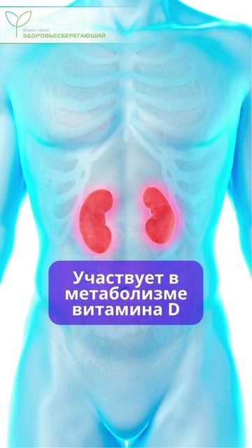 Что делает гормон роста с организмом взрослого человека