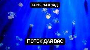 ПОТОК ДЛЯ ВАС