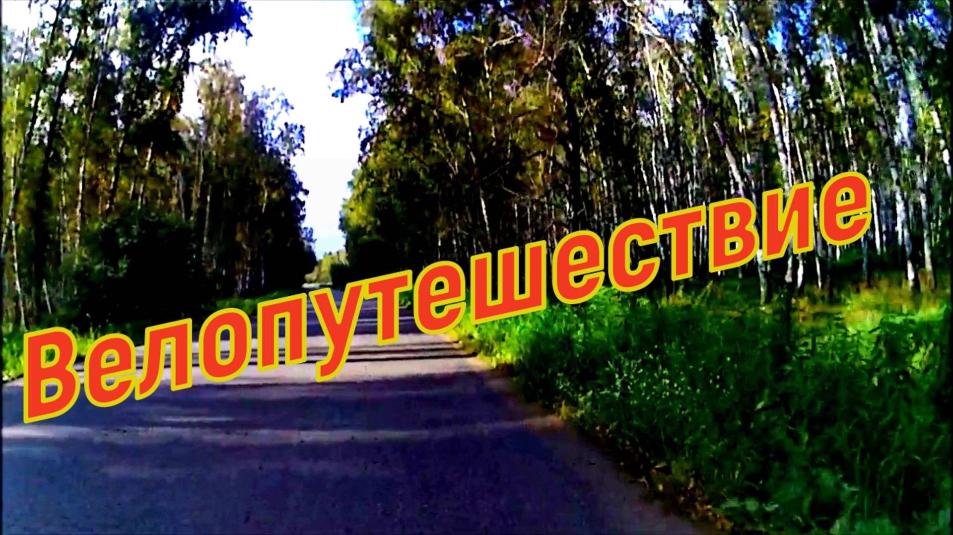 Катаемся на великах