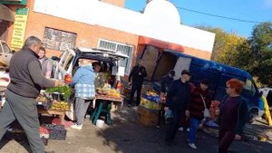Сюрприз для Васьки. Саженцы винограда из черенков.