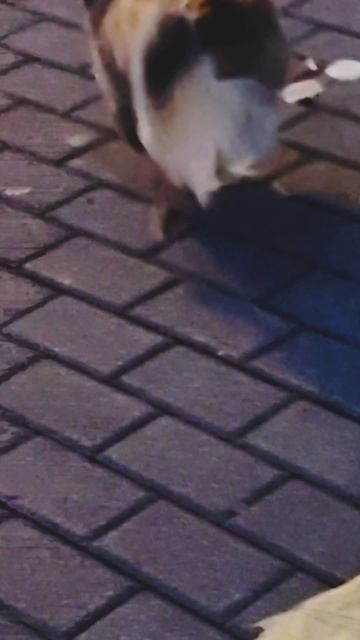 Осенний релакс... смотреть онлайн