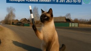 Подкаст о безопасности на дорогах. По материалам газеты номер 41 от 10.10.2025