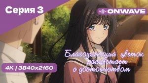 [4K] Благоухающий цветок расцветает с достоинством - Серия 3 [OnWave]