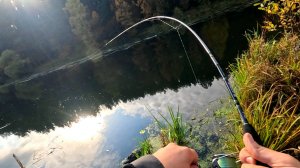 ДЖИГ- РИГ! Рыбалка на Ультралайт! НОВИНКА CF STRIKE 744 LS!