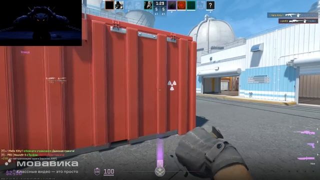 Моменты со стрима смотреть онлайн