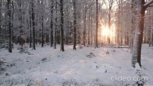 Прощальный вальс