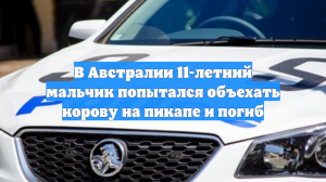 В Австралии 11-летний мальчик попытался объехать корову на пикапе и погиб
