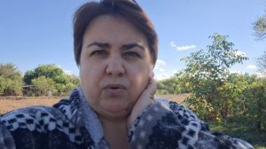 Вспахали огород, освабодила флягу, ужин