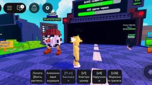 получаю брон ротов.