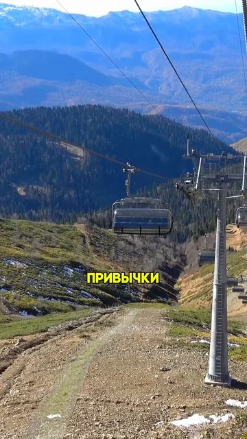 Сочи это настоящая Россия? Как Курорт живет в отрыве от остальной страны  #shorts  #инвестициивсочи смотреть онлайн