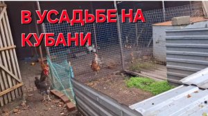 818 Простая жизнь в усадьбе на Кубани. И чтобы ноги не мёрзли.