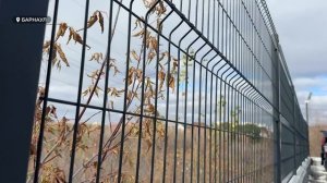 17-летняя девушка из Барнаула убила и выбросила новорожденного ребенка
