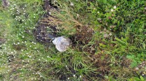 Красноярские подрядчики получили 25 млн за несуществующий водопровод