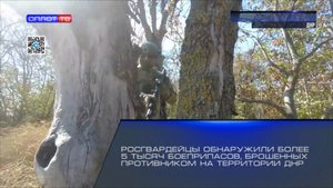 Росгвардейцы обнаружили более 5 тысяч боеприпасов, брошенных противником на территории ДНР
