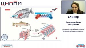 Зоология позвоночных